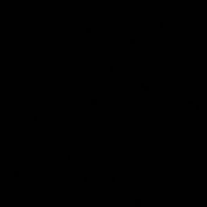 Meet your Posher, Iana